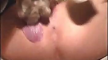 homemade zoophilia banging with slut