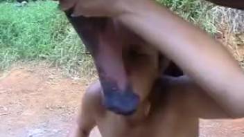 Girl fucks horse after a sloppy BJ