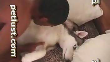 Passionate dog fuck scene with dudes