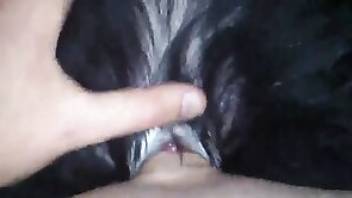 Dog fuck movie with POV banging