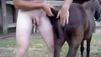 Horse porn movie with a really hung dude